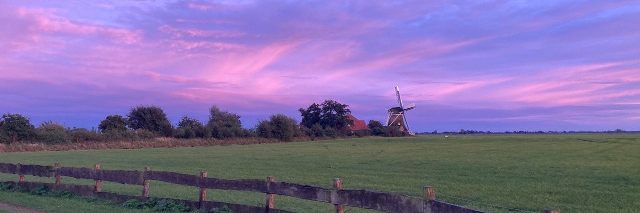 fenna feenstra banner