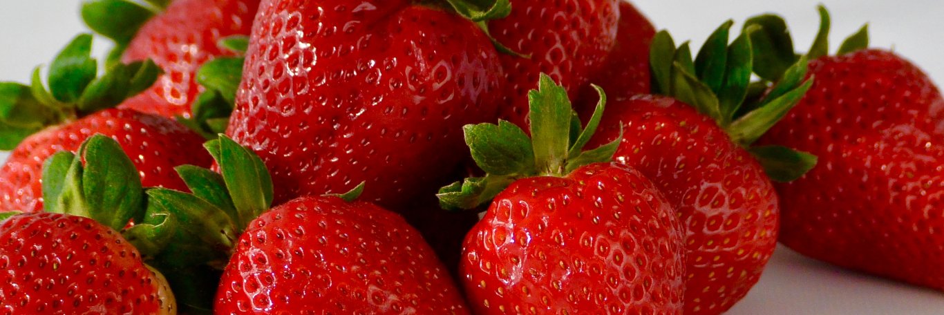 foodidea's profile banner image