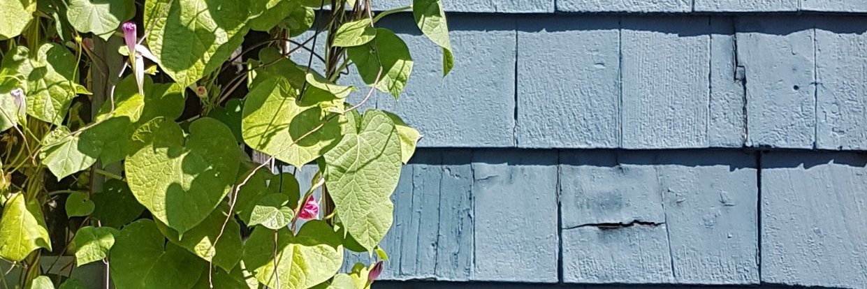 Lespacotilles's profile banner image