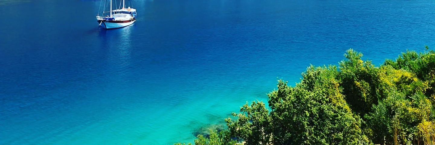 Kemalee_'s profile banner image