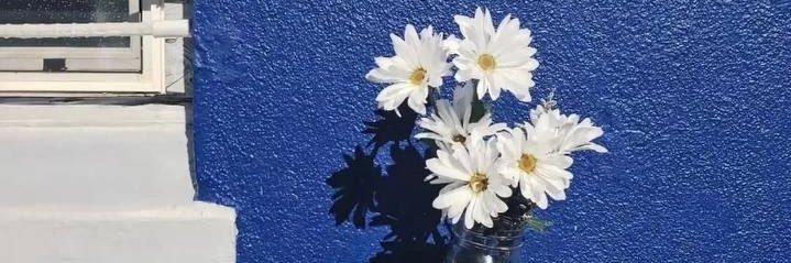 Daisy_723_'s profile banner image