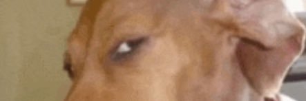 C banner