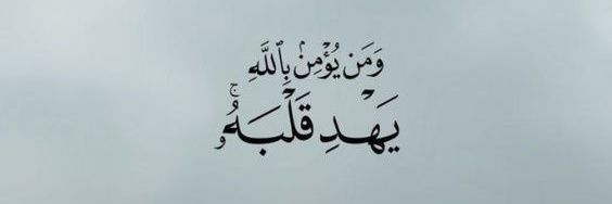 AlhadeedBader's profile banner image