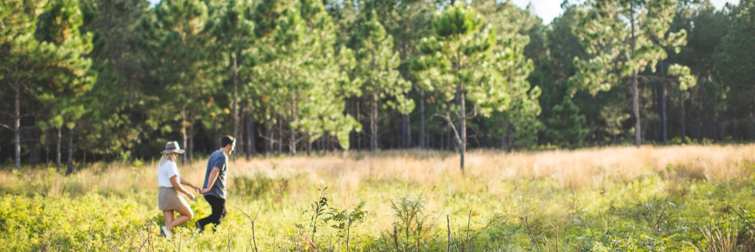 Raimi Rutledge banner