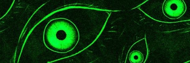 👁️ E L I A S 👁️ banner