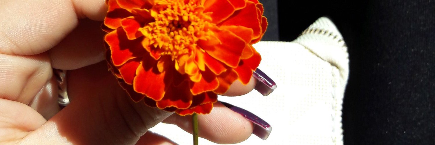 Originallju's profile banner image