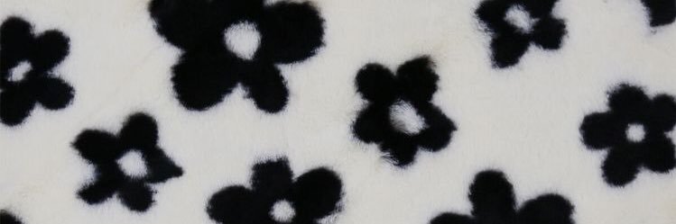 𝐴𝑆𝐻𝐴 banner