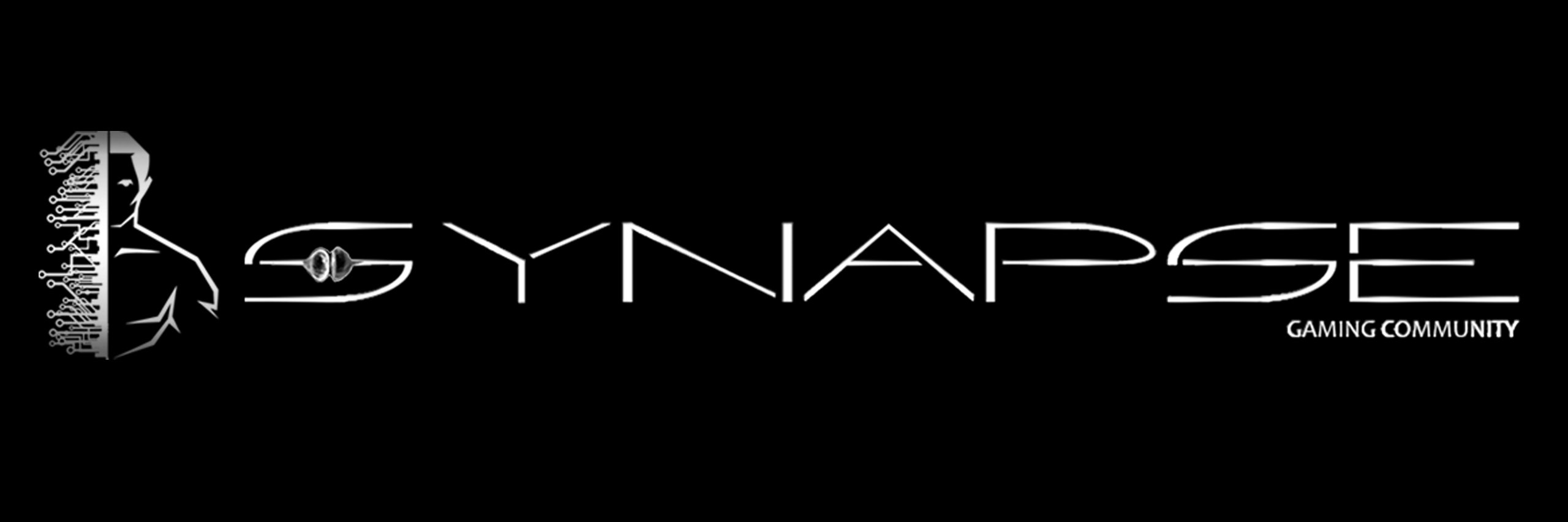 Synapse Gaming banner