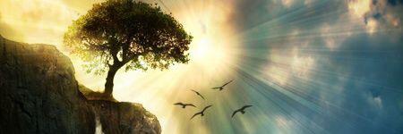 StephanieMMares's profile banner image
