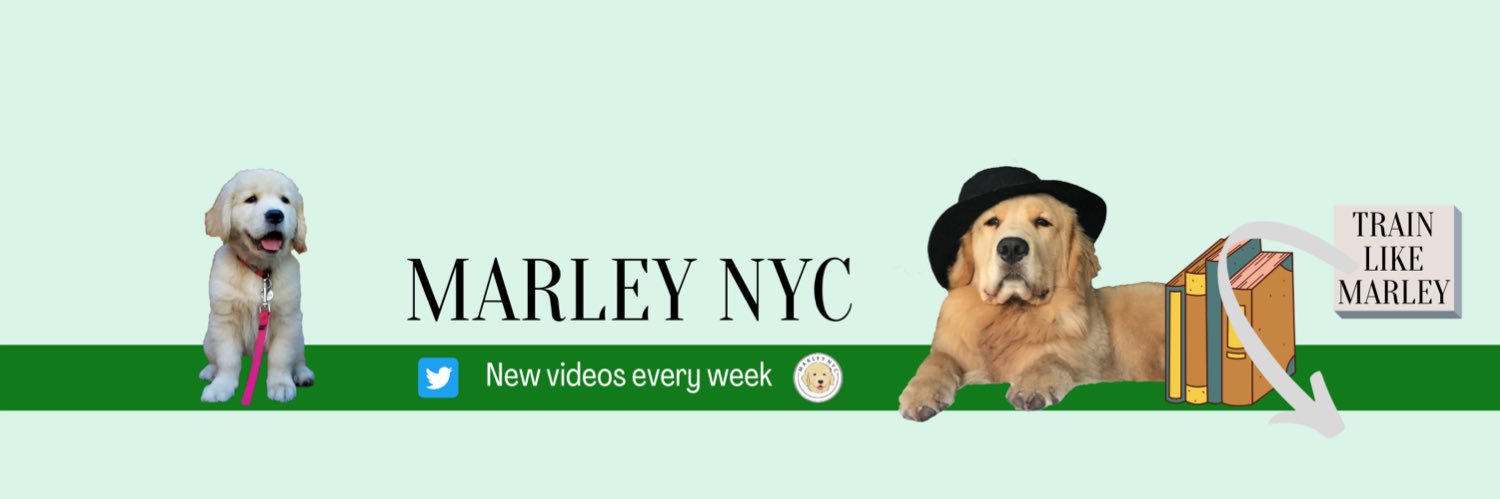 marley__nyc's profile banner image
