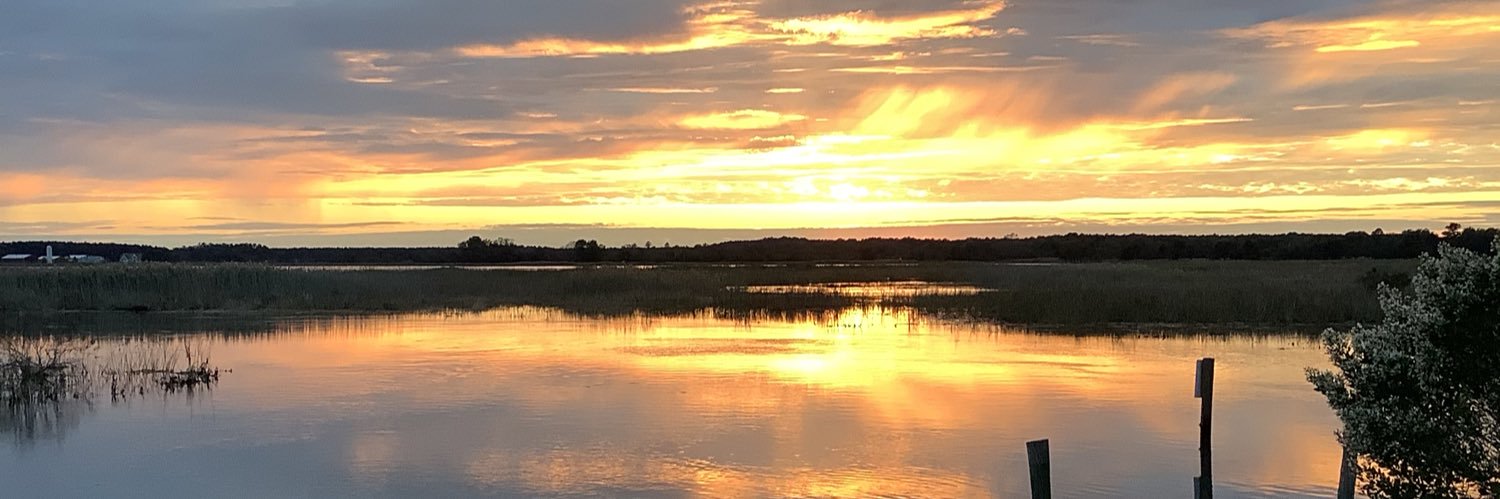 Charles Wright IV banner