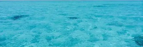crypto_leoelon's profile banner image