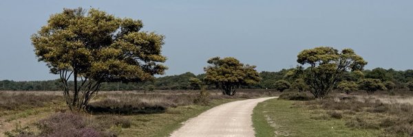 1aboc Profile Banner