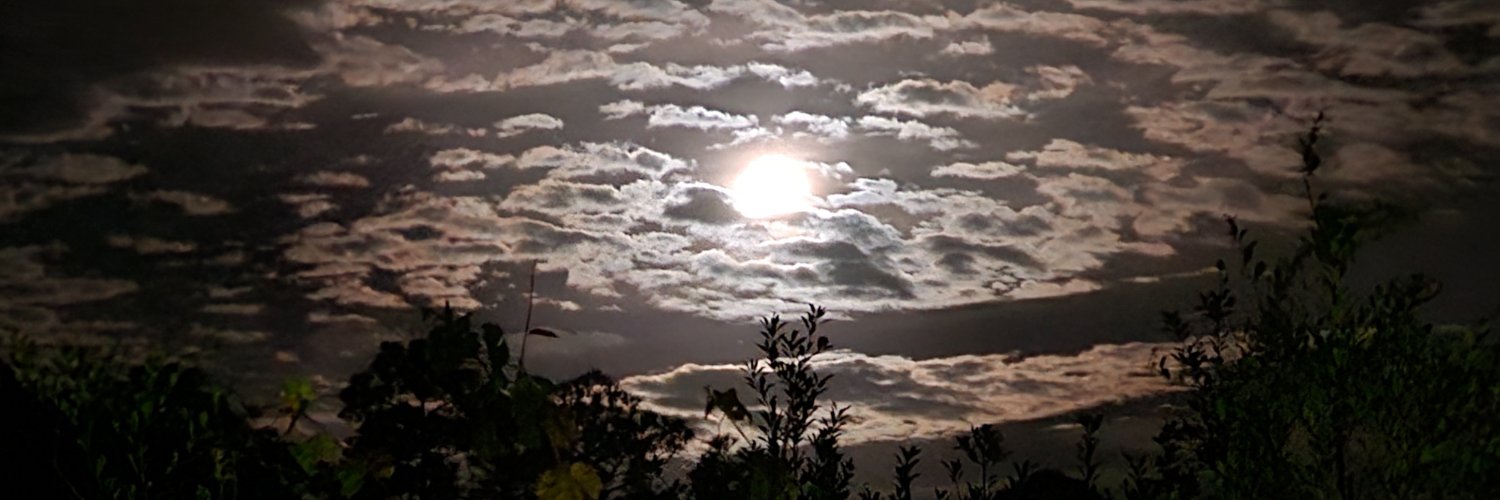 Dvdlance727's profile banner image