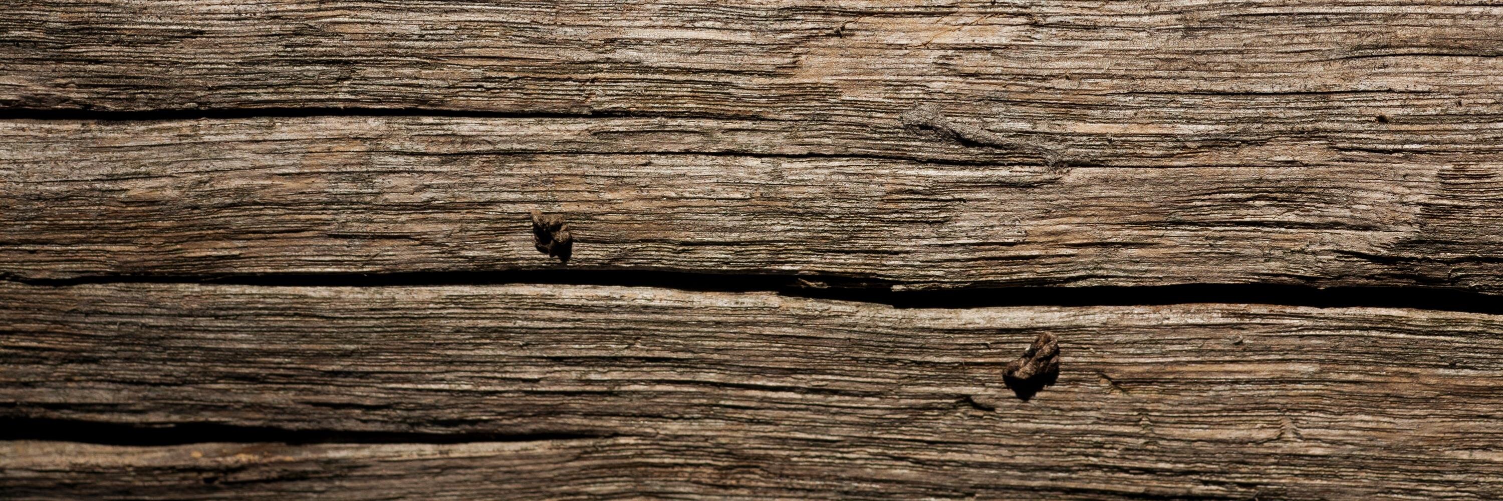RayJFar's profile banner image