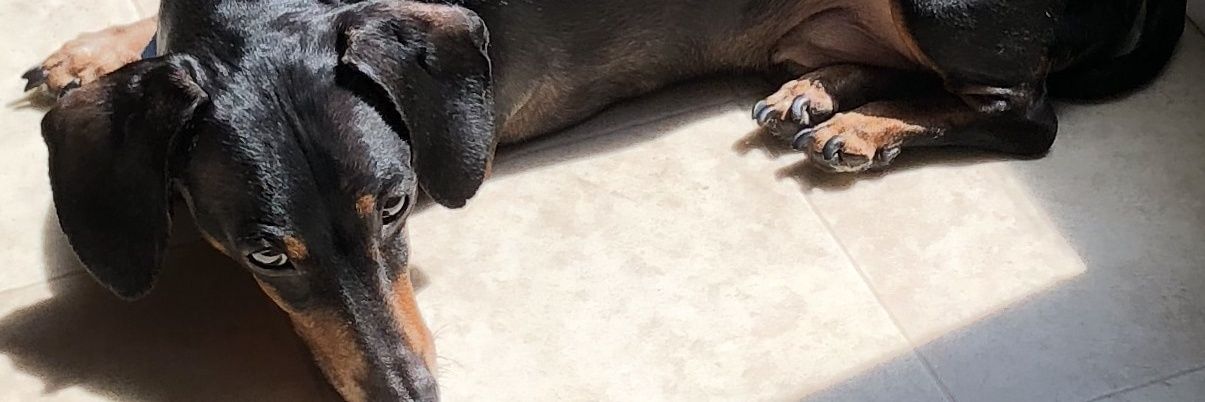KyleL28's profile banner image