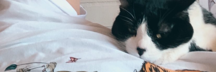 natysmin's profile banner image