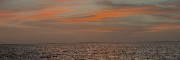 msthuggerr Profile Banner