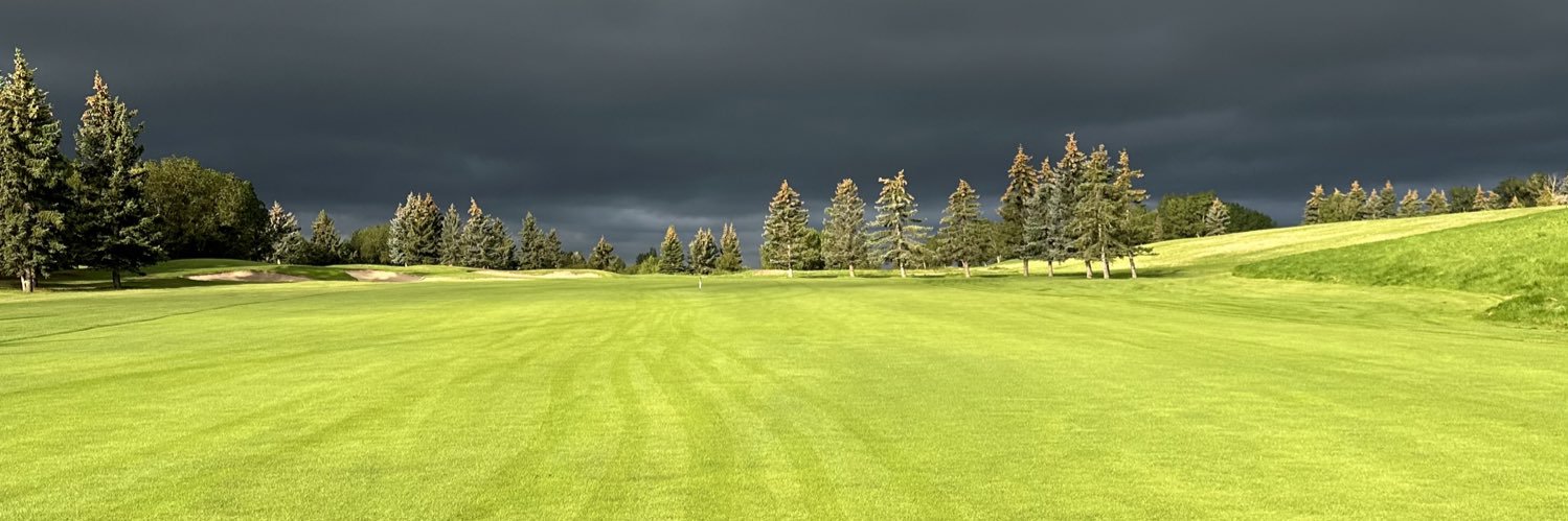 Todd Paquette banner