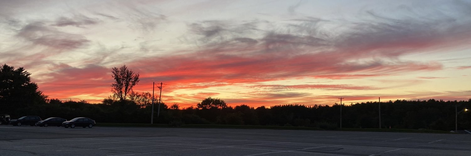 Rebecca Reynolds banner