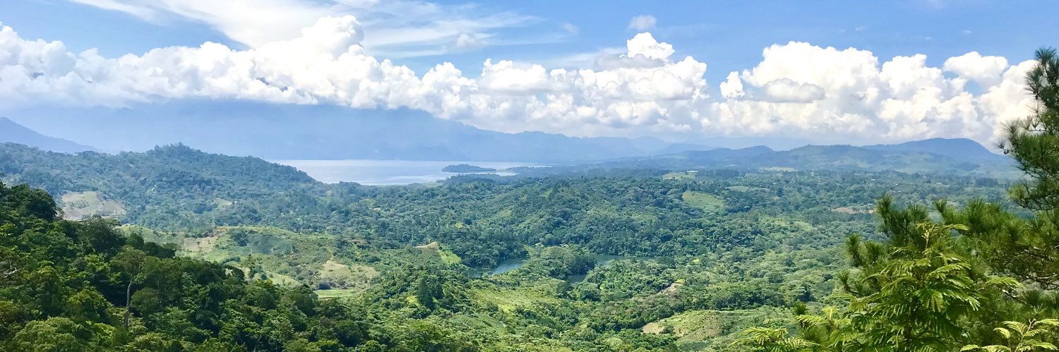 dpcastaneda30's profile banner image