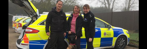 PBaloo Profile Banner