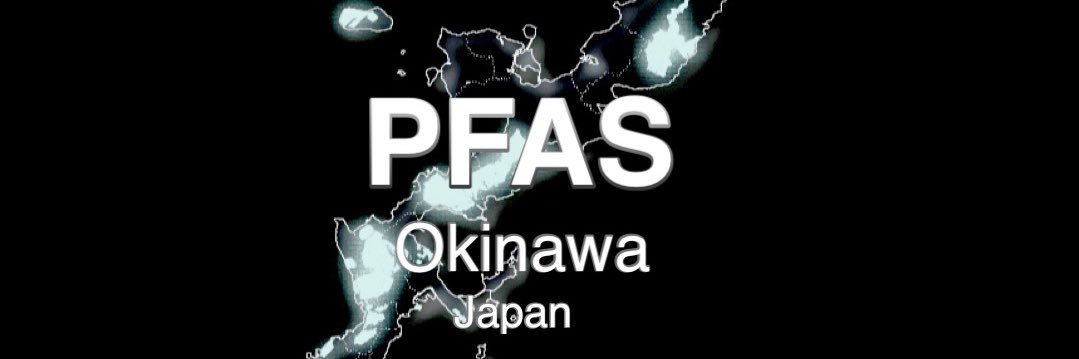 Masami mel Kawamura Ph.D, IPP Okinawa's banner