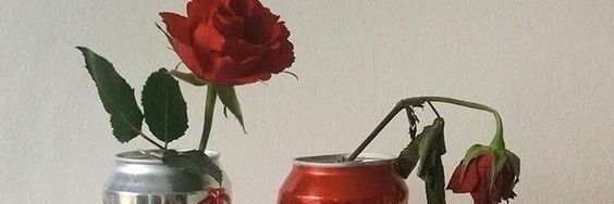 daybyday banner