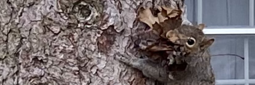 johnzitto1's profile banner image