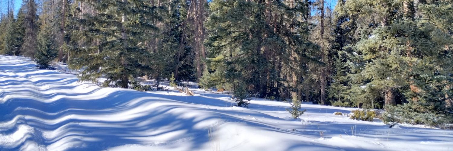 AndrewDunnells's profile banner image