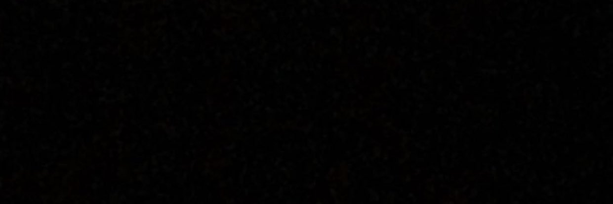 Chanel banner