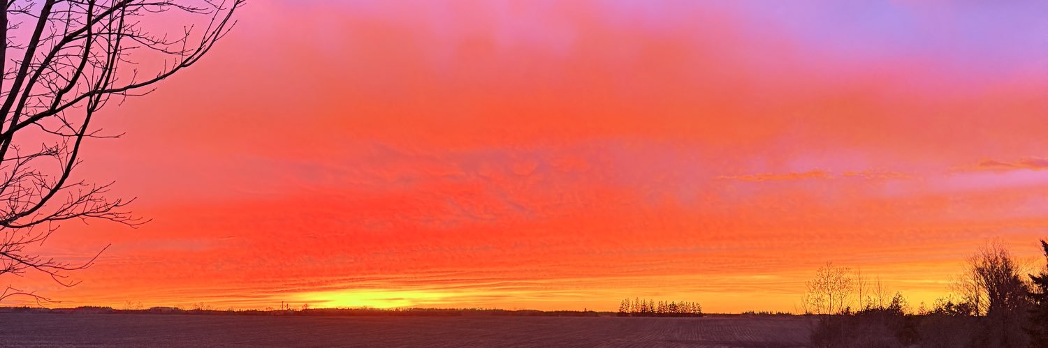 Ty1er_ja's profile banner image