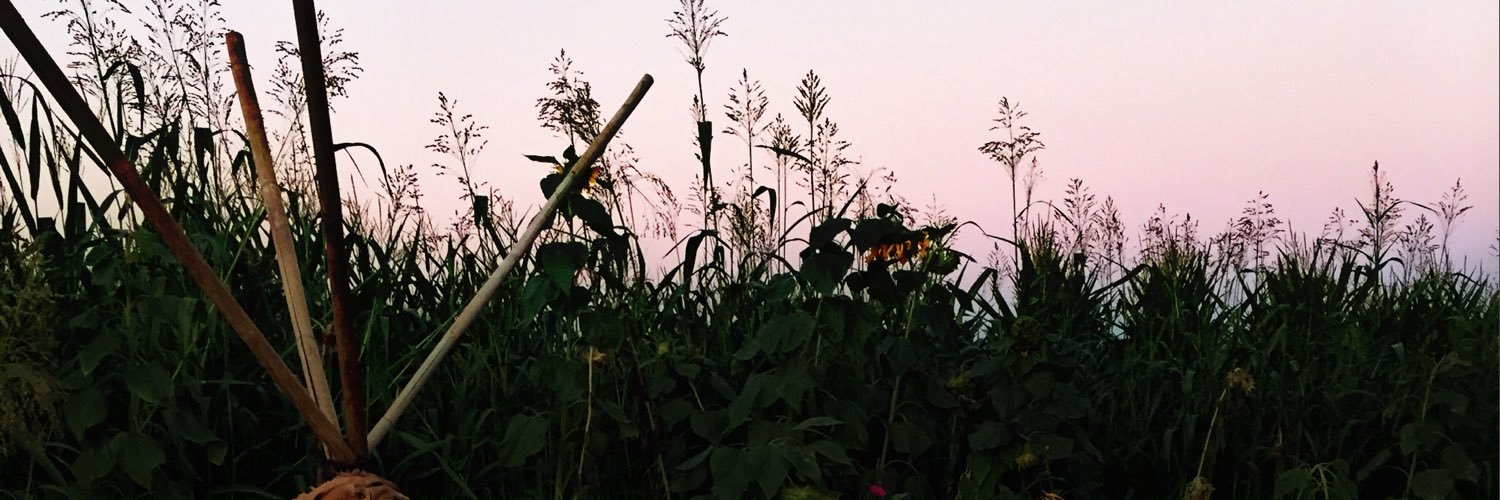 _moryyy's profile banner image