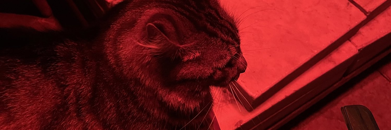 senaintheworld's profile banner image