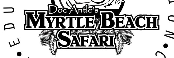 SafariMyrtle Profile Banner