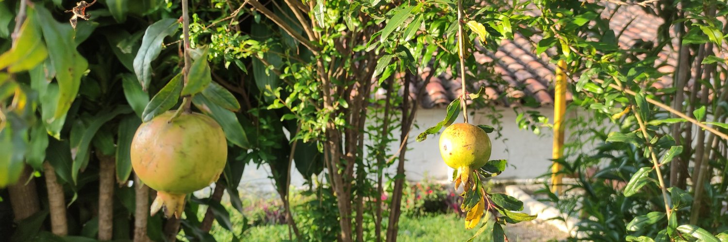 Don Santiago ❦ banner