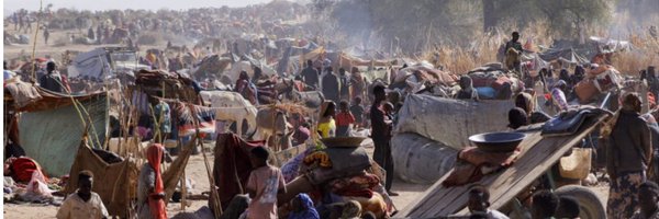 Roaarabi2 Profile Banner