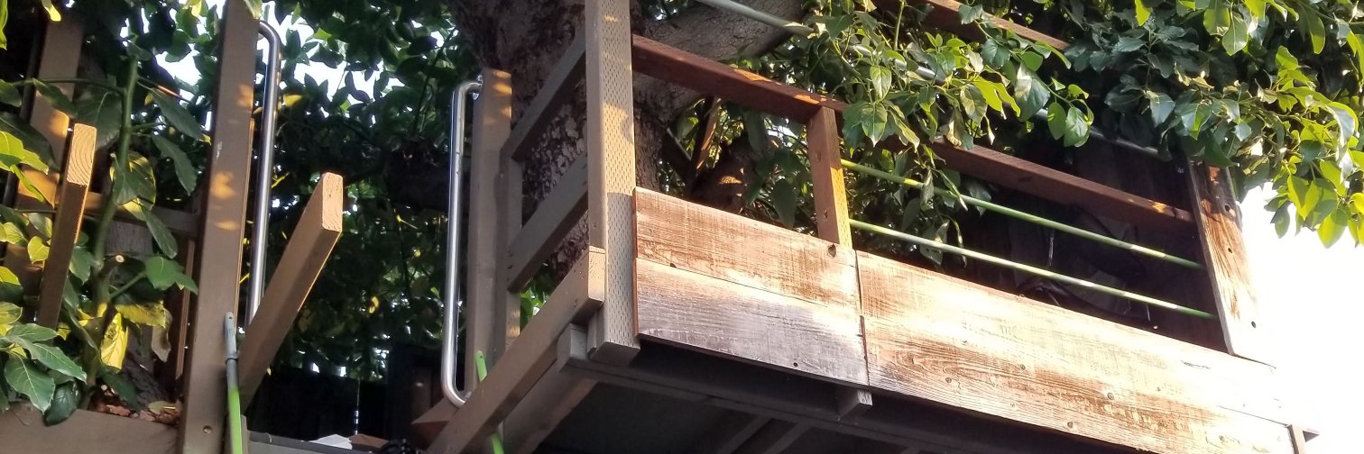 Scott's Treehouse's banner