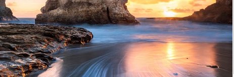 Carolina Gomes banner