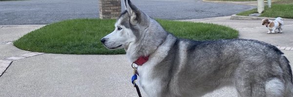 CurtCopeland7 Profile Banner