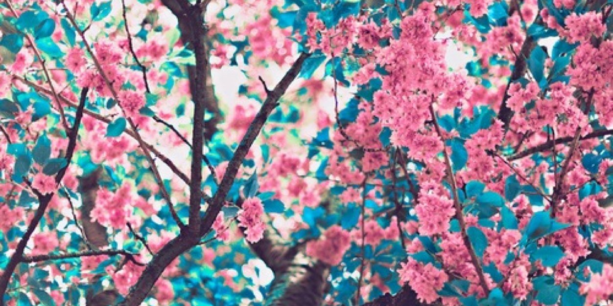 laurynn_huff's profile banner image