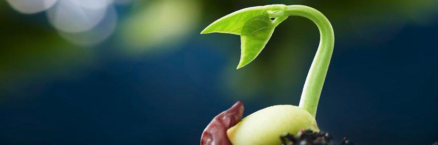 GTMSEO's profile banner image