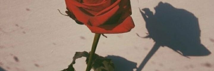 augandm's profile banner image