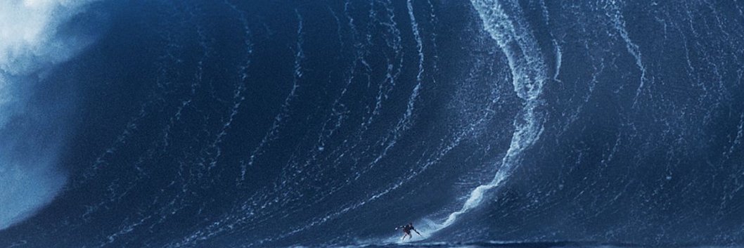 犬塚直史 Tadashi Inuzuka banner