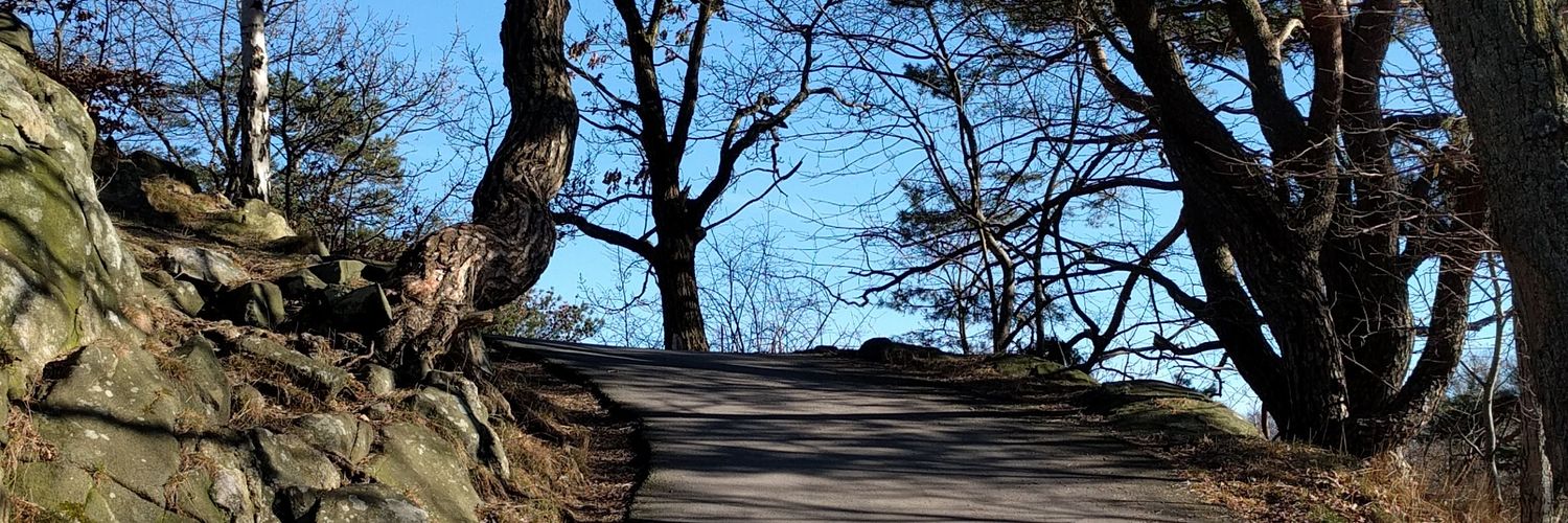 Thomas Svensson 🖖 banner