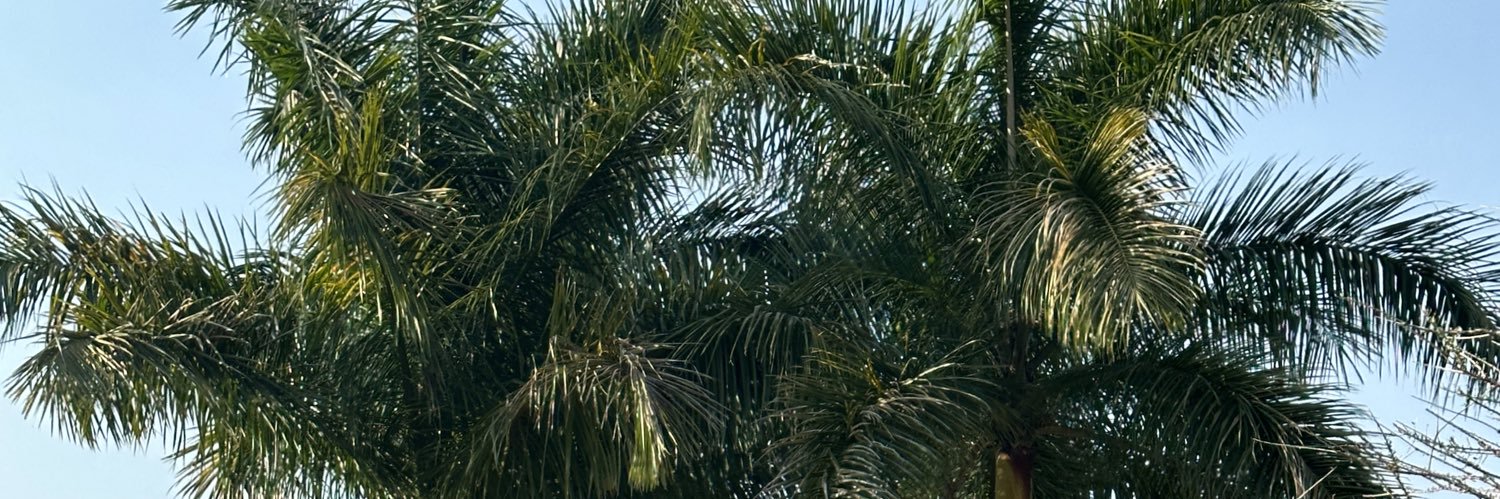 designdazer's profile banner image