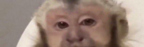 farriagui Profile Banner