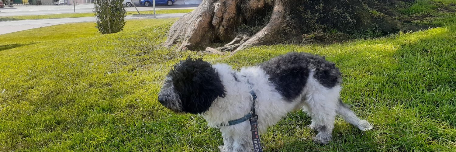 Oeduardo's profile banner image
