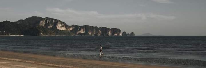 ป๋ายู, banner