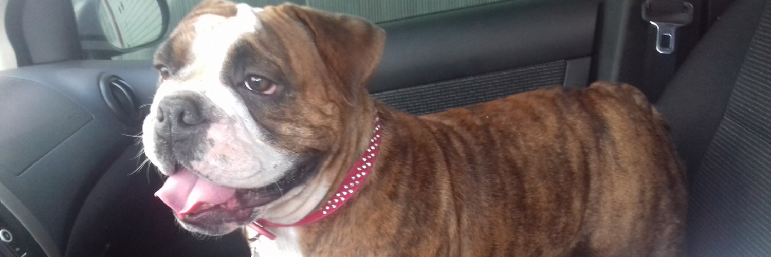 Insania - Gabi banner